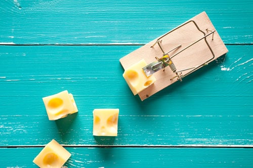 tackling addiction online course - mouse trap and cheese