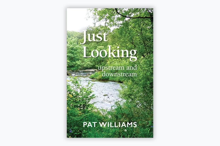 Just Looking – upstream and downstream - Book