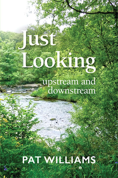 Just Looking – upstream and downstream - Book