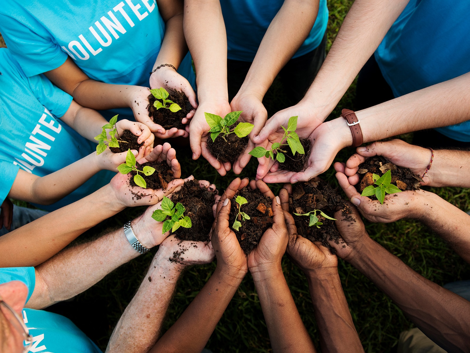 Volunteers/ People Hands Cupping Plant Nurture Environmental - Human Givens Foundation