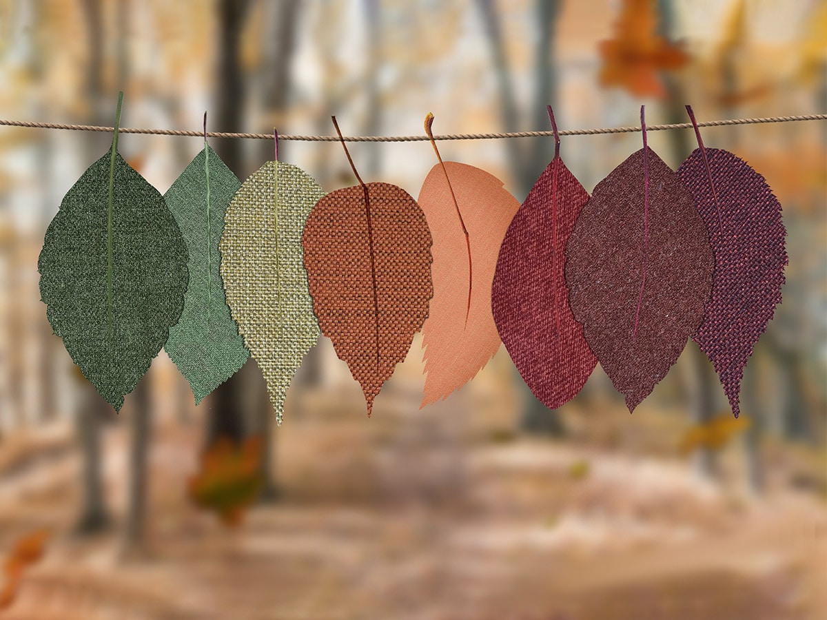 meaningful patterns