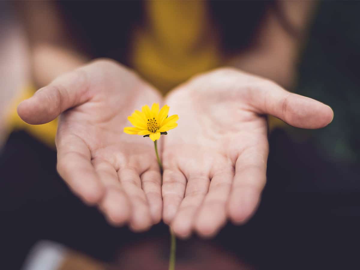hands holding flower for post about HG help for smoking cessation