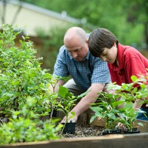 adult and child gardening