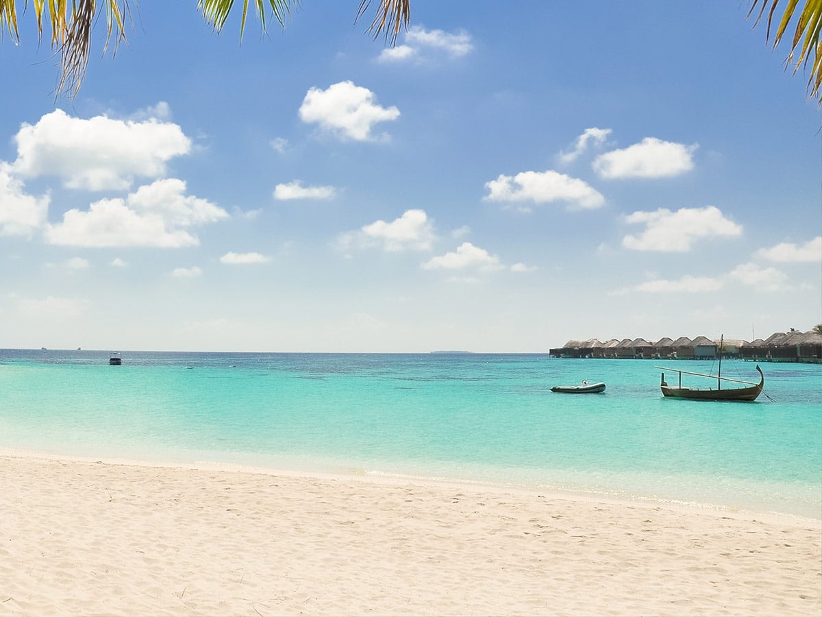 Managing the unexpected – the perks and challenges of remote working in the tropics