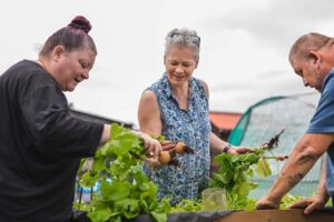 Photo of people working on allotment