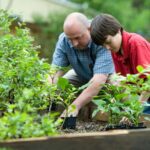 Photo of people gardening