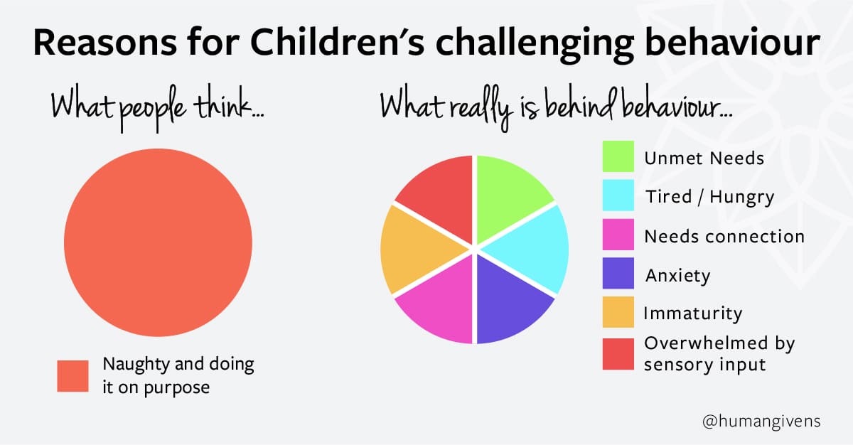 Reasons for children's challenging behaviour graphic